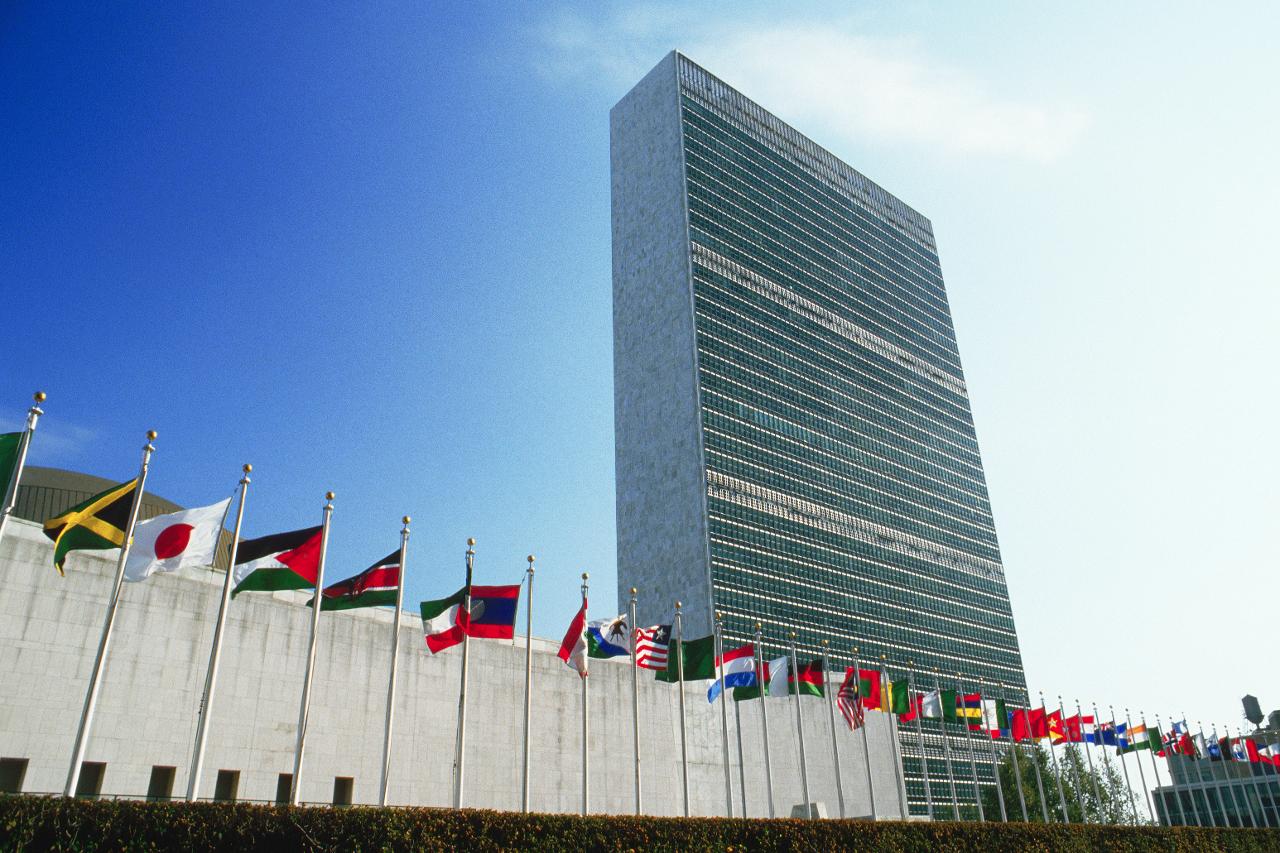 Collezione di arte dell'ONU Collezioni ONU Nazioni Unite