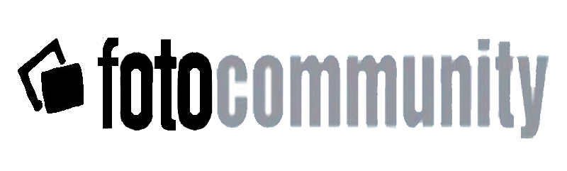 painter art contemporary italian painting gallery